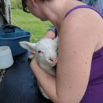 IMG_20170414_152028