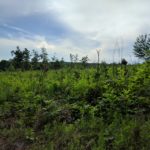 IMG_20170601_172202
